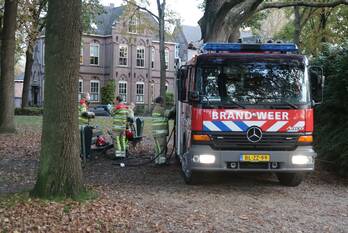 brand brink laren