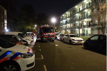 nieuws indische tuin rotterdam