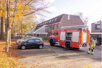 nieuws boekweitland soest