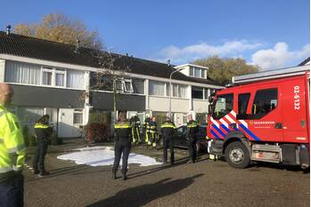 brand gerben colmjonwei leeuwarden