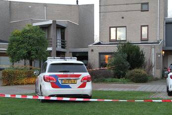 nieuws houtzaagmolen weert