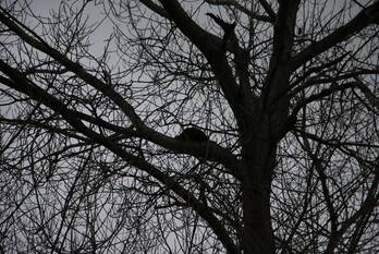 nieuws kortenaerstraat katwijk