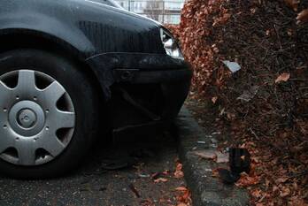 nieuws cinemadreef almere
