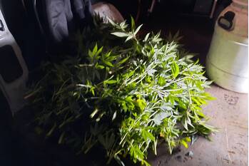 nieuws schaepmanlaan nunspeet