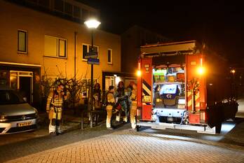 brand schierstins lelystad