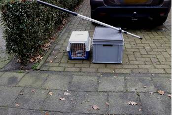 nieuws leeuweriklaan boekel