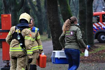 nieuws linnaeuslaan harderwijk