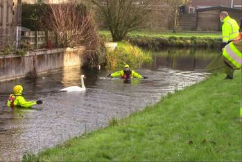 natuur rauwenhoflaan tiel