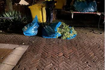 nieuws lobeliuslaan oegstgeest