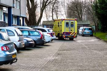 steekincident schulpweg rotterdam