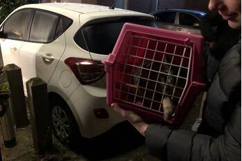 nieuws kaasjeskruidweg zwolle