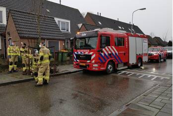 milieu paulus potterstraat ede