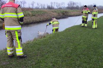 natuur steendertse uitweg ophemert