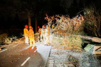 nieuws goorsedijk mierlo