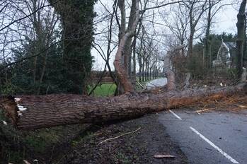 natuur donkereweg noordgouwe