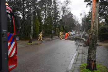 natuur irenelaan ede