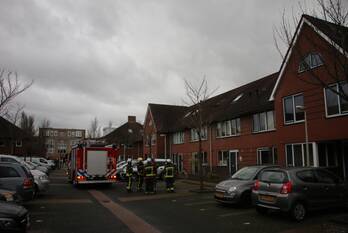 natuur israelsstraat rijnsburg