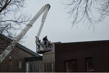 natuur pim mulierwei stiens
