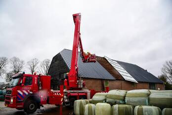 natuur rijsdijk rhoon