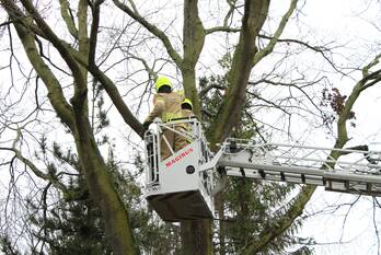 natuur molendijk weert