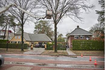 natuur dolderseweg den dolder