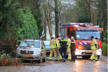 natuur cantonlaan baarn