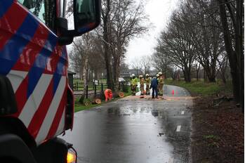 natuur kolmansweg nunspeet