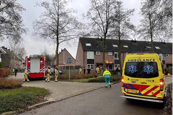brand horst gemert