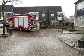 brand koolmees ridderkerk