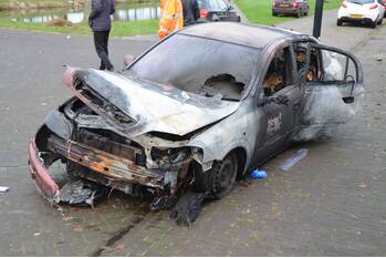 brand gravinneloane garyp