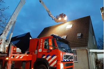 brand schoener 42 lelystad