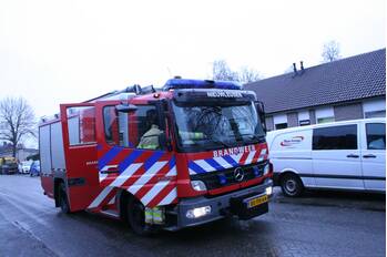 milieu kamperfoelie nieuwleusen