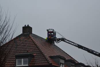 brand grasbroek heerlen