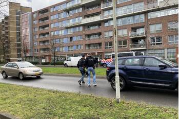 nieuws nieuwe damlaan schiedam