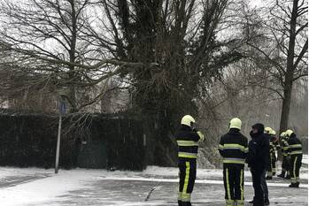 natuur de gealanden leeuwarden