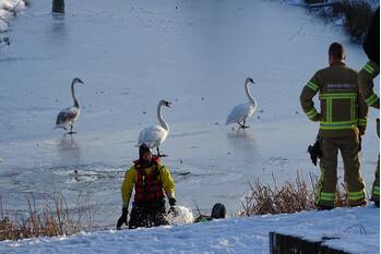 nieuws spittaalderkamp zutphen
