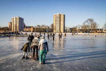 natuur zwanebloembocht haarlem