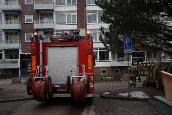 milieu rijnstraat den helder