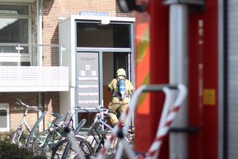 nieuws rijnstraat den helder