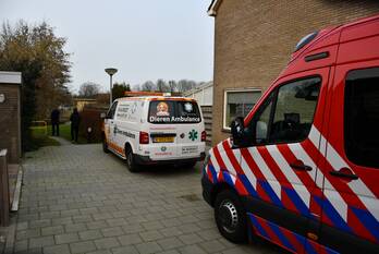 nieuws kogge lelystad