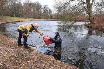 nieuws ruiterlaan zwolle
