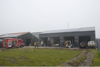 brand seestjer stiens