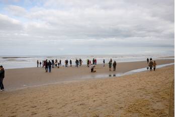 nieuws koningin wilhelmina boulevard - kon. wilhelmina boulevard noordwijk