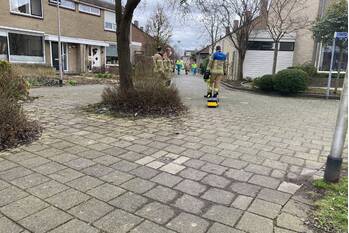 nieuws botter barendrecht