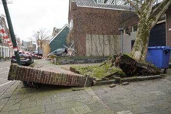 natuur naaierstraat gouda