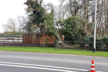 natuur breekade - n477 krimpen aan de lek