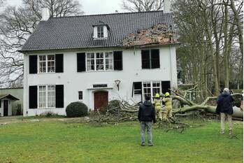 natuur bovenweg bennekom