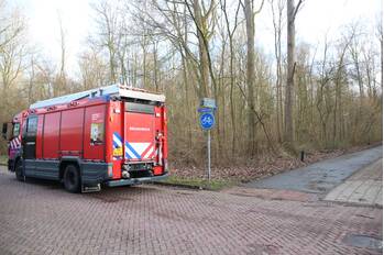 natuur beginpad lelystad