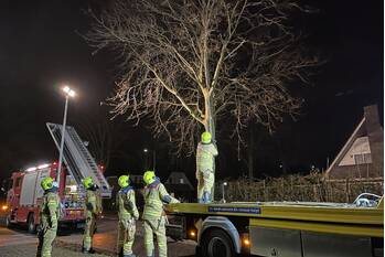 natuur kamerlingh onneshof nijkerk