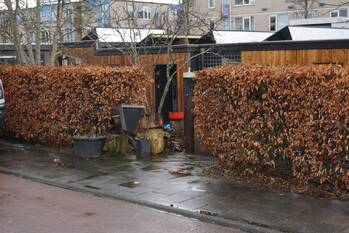 nieuws winschoterdiep groningen